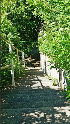 Treppe zum Anleger