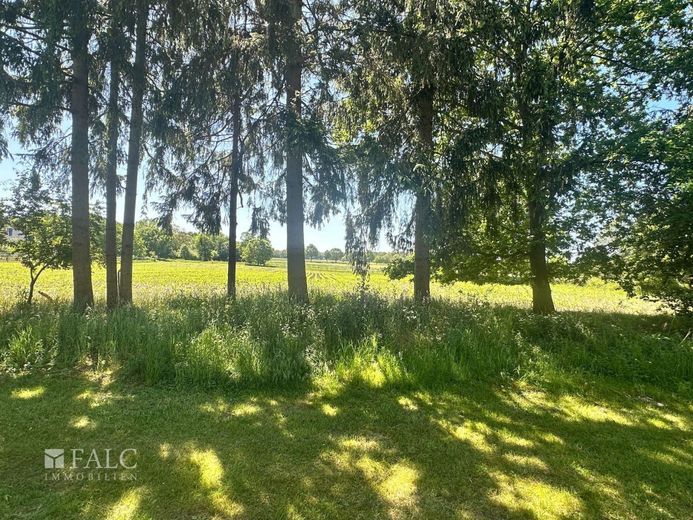 Traumhaft Wohnen in der Natur - Top Einfamilienhaus mit Einliegerwohnung – Ausblick hinter dem Garten