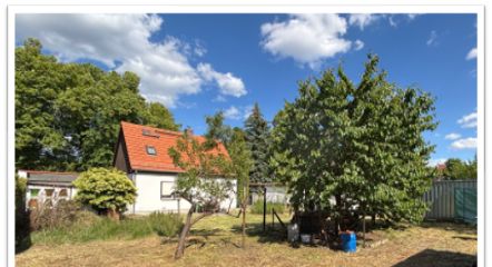 Blick aus hinterem Garten