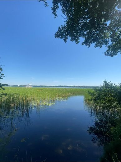 Wohnen am See in der Natur: Moderne Wohnung mit Terrasse und Garten – Foto 1