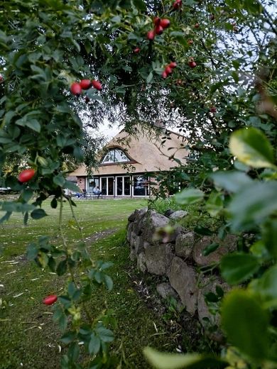 Kernsaniertes Bauerhaus unter Reet auf naturnahem Grundstück in Feldrandlage – Neues Reetdach in 2026