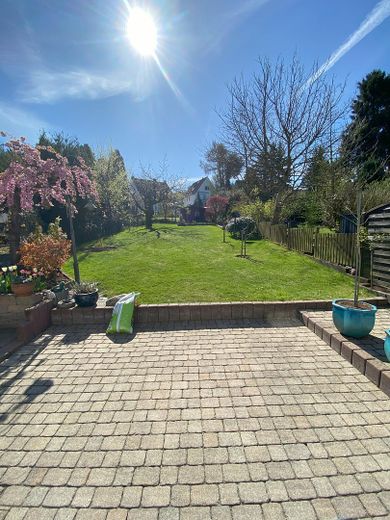 Blick in den Garten 