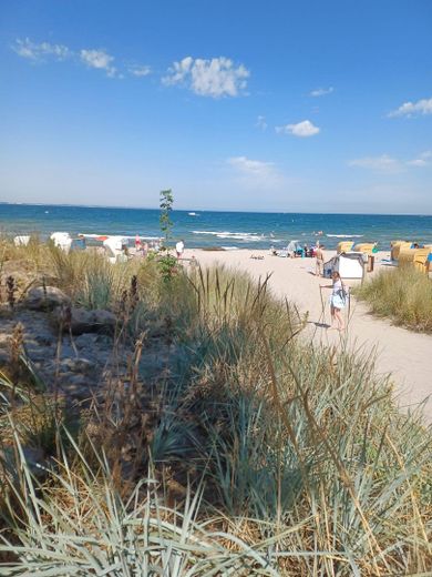 Badespaß am Strand