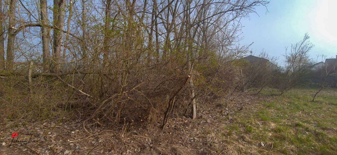 Eckgrundstück in Schönefeld (bauträgerfrei) – Freifläche