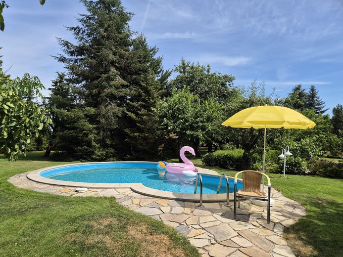 Haus mit Garten und Pool, unweit von Jessen/E. und Holzdorf-Ost – Blick in den Garten