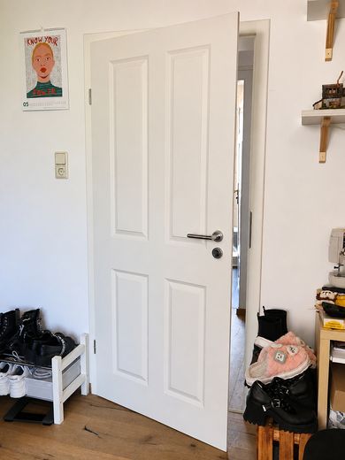 Light-filled old building apartment (5 rooms) by the city park - 4 spacious bedrooms and separate living room – Innentür