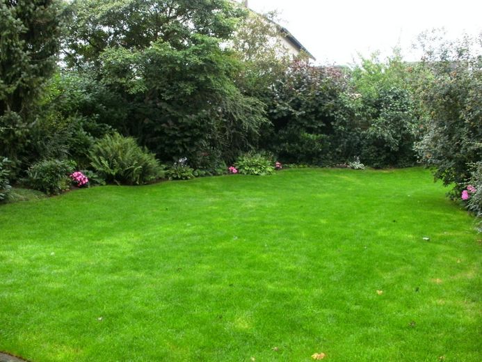 Schöne 3,5 Zimmerwohnung in Alzenau-Wasserlos – Blick in den Garten