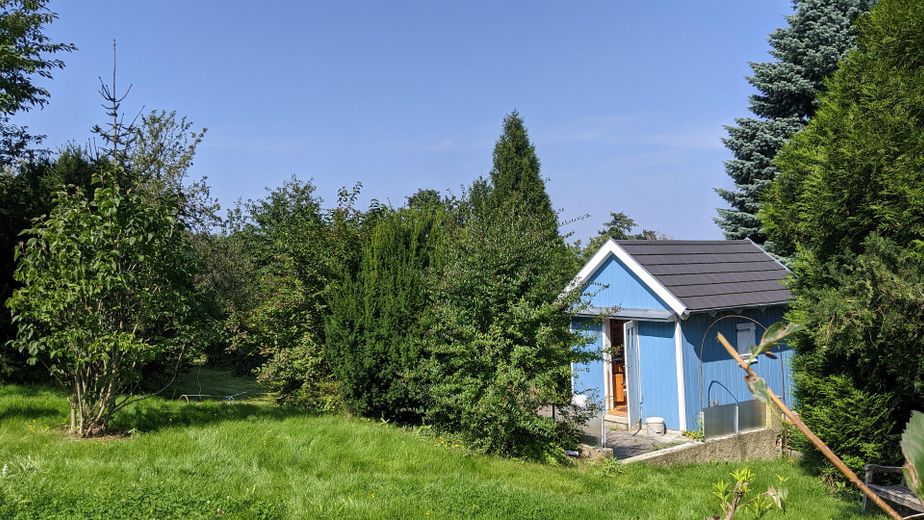 Wiese mit Gartenhaus