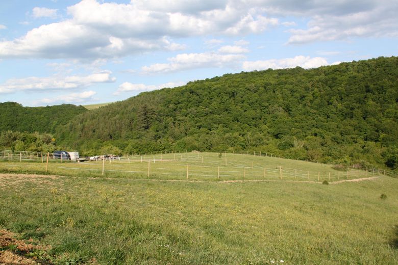 Hausweide