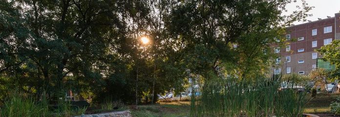 Gartenanlage