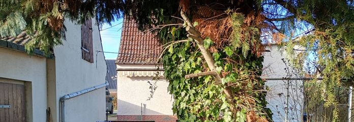 IMG_20260215_095026419_HDR