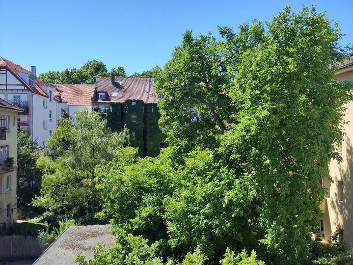 Blick vom Balkon (Walnussbaum)