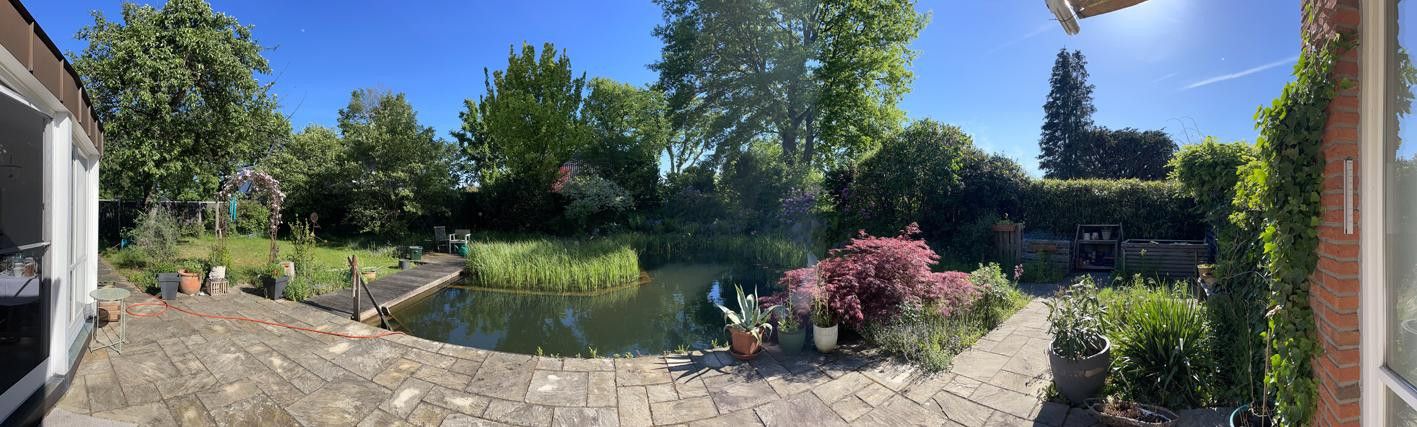 Lichtdurchflutetes Architektenhaus mit Schwimmteich – Garten mit Schwimmteich