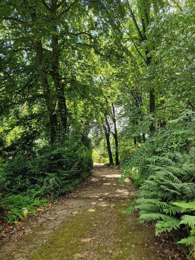 Zufahrtsweg Ansicht 2