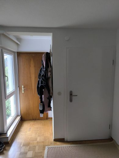 Diele +neue Wohnungseingangtür