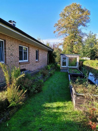 Gewächshaus und Hochbeete