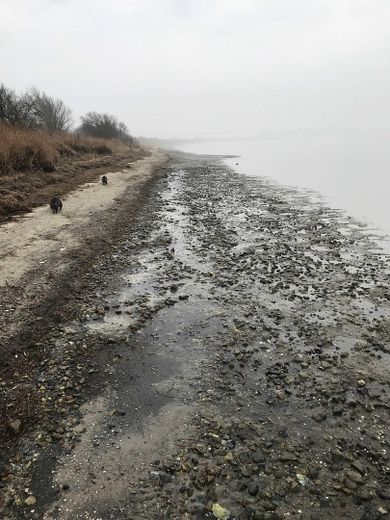 Winter-Salzhaff