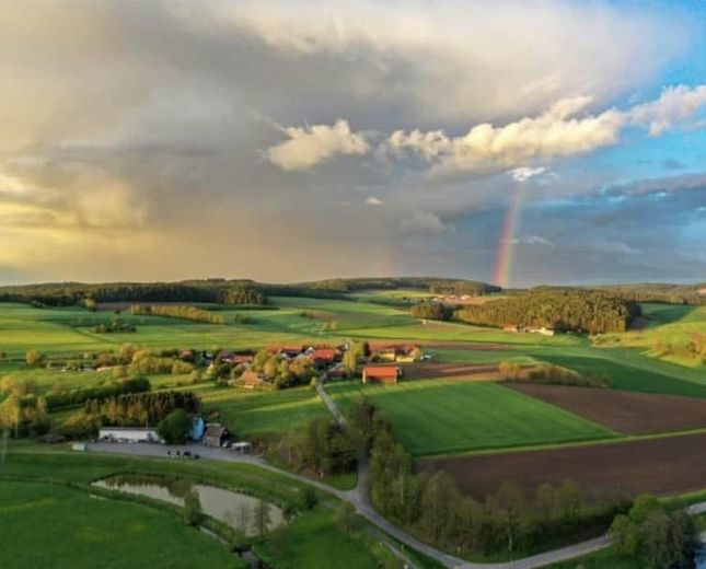 Schwarzach ve Murach Vadisi'nde dört cepheli çiftlik evi – Fotoğraf 42