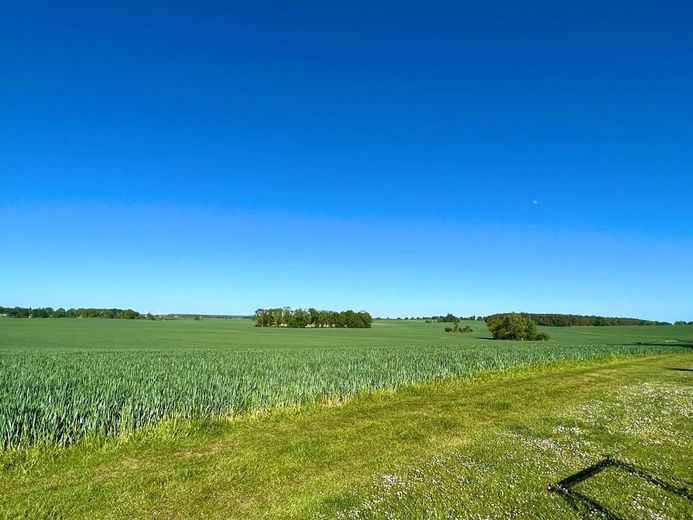 Ausblick vom Grundstück