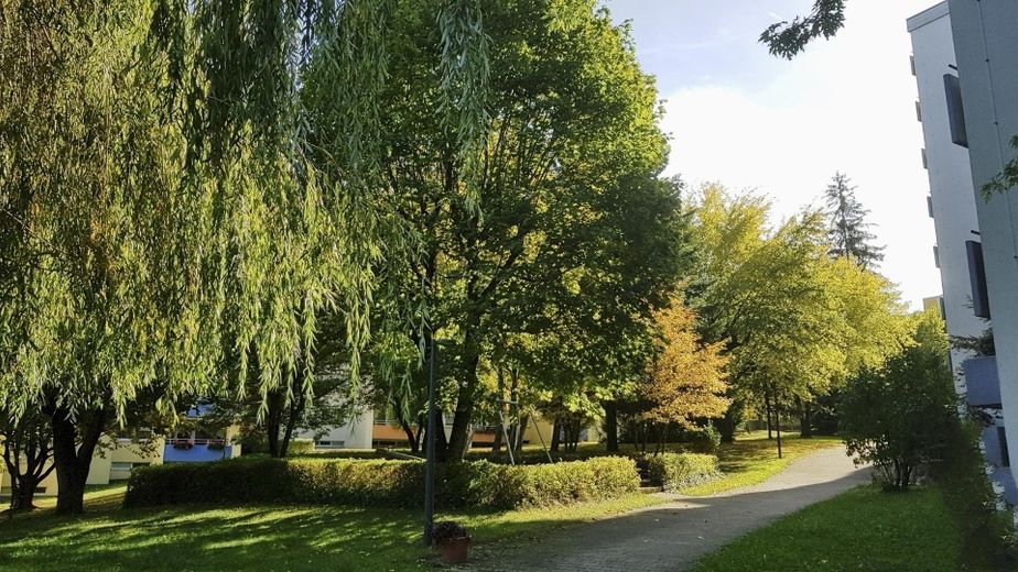 Weg durch die Anlage
