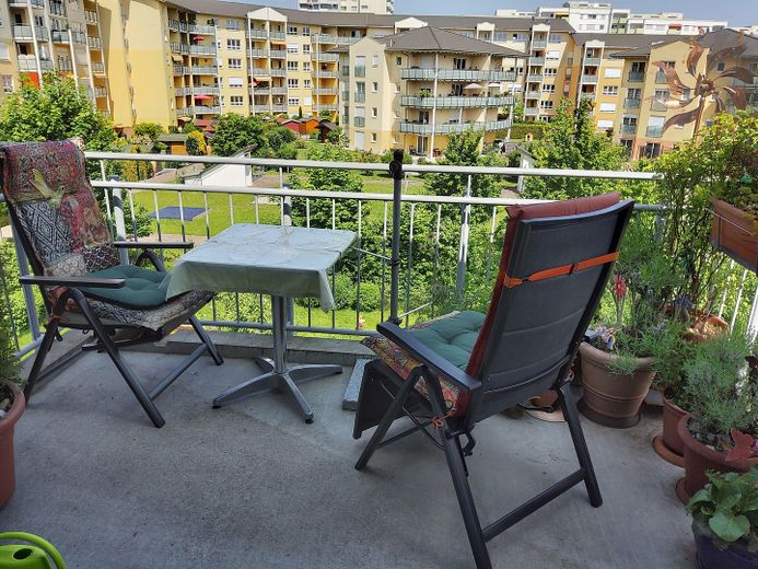 Blick im Sommer