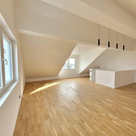 DG Studio