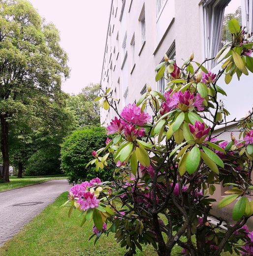 Möblierte, helle 1-Zimmer-Wohnung mit Südloggia in absolut ruhiger und dennoch zentraler Lage! – Foto 15