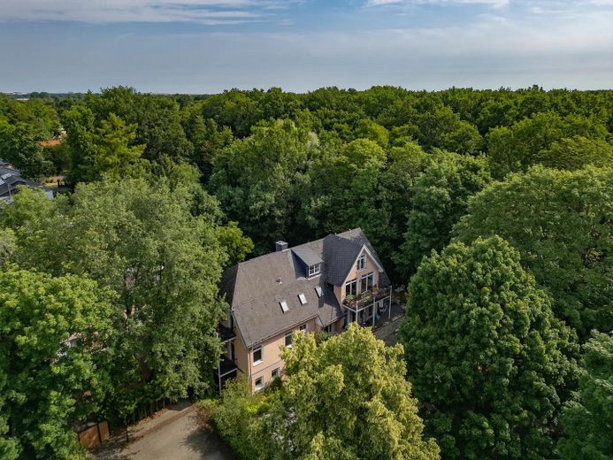 PROVISIONSFREI (Privatverkauf): Große 4-Zimmer-Wohnung in historischen Villa am Naturschutzgebiet – Foto 11