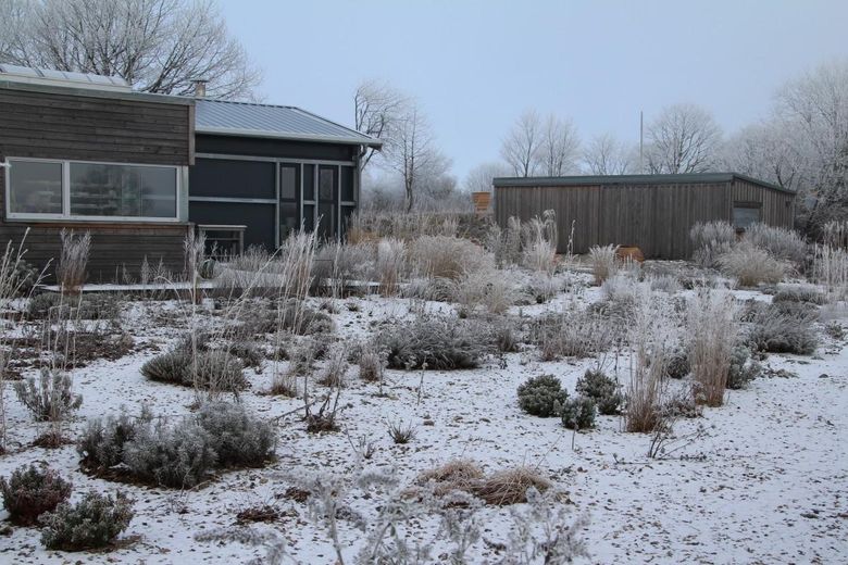 Kiesgarten Winter