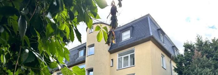 Zwickau’da gün ışığı alan banyolu kiralık 3 odalı daire!