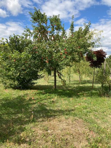 traumhaftes Bauland am Naturschutzgebiet – Foto 2