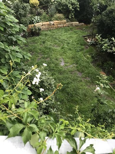 Sicht Garten vom Balkon