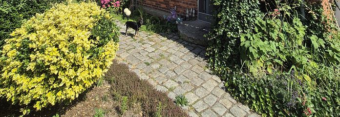 Naturparadies nähe Ludwigslust mit Schwimmteich, Koiteich und Werkstatt für Pendler Hamburg - Berlin – Hinter dem Haus