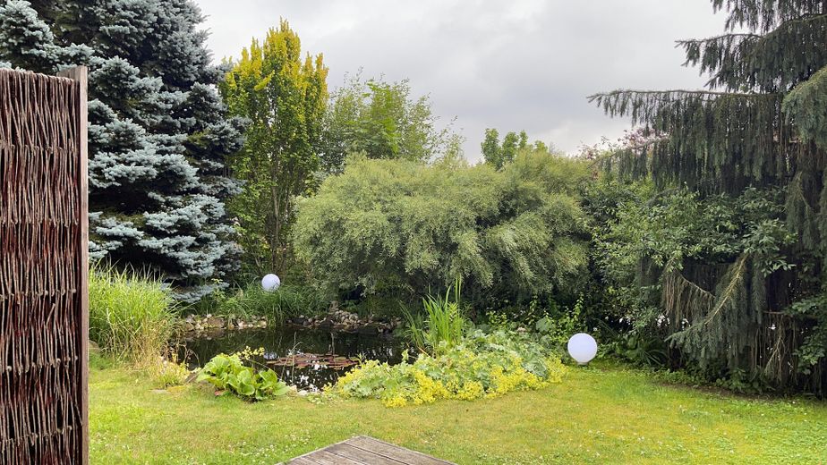 Garten mit Teich