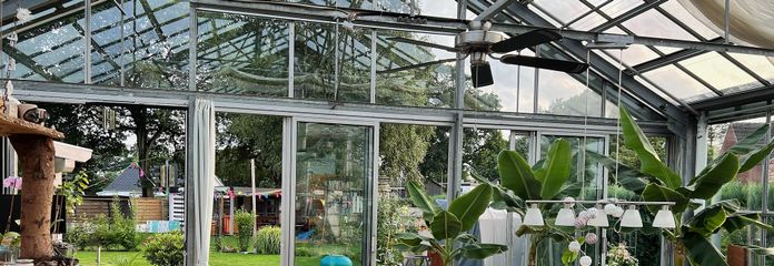 Blick ins Glashaus