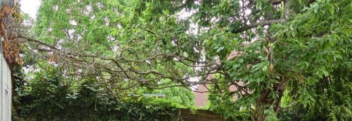 (EF0476_M) Dresden: Radebeul, kleines möbliertes Häuschen, Sitzecke im Garten, für Wochenendheimfahrer