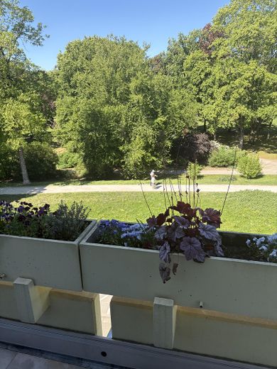Blick vom Balkon (Bibliothek)