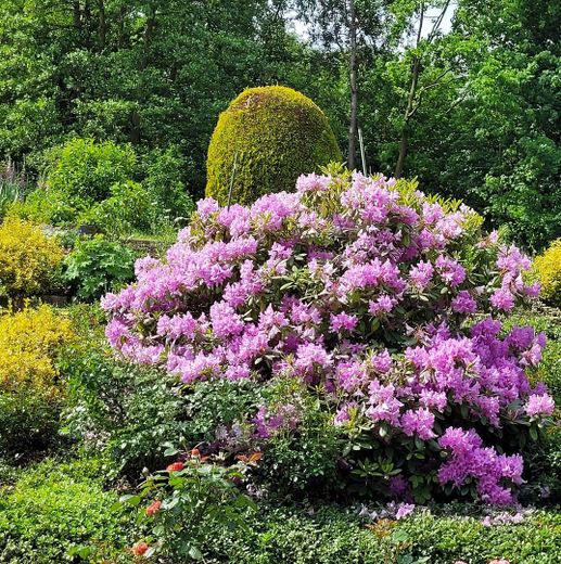 Dom szeregowy w Bad Gandersheim z pięknym ogrodem i piwnicą OD OSOBY PRYWATNEJ! – Sommerblick in den Garten