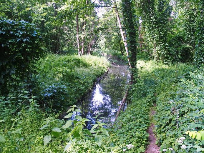 Schildow, Tschaikowskistraße, Komponistenquartier, provisionsfrei – Tegeler Fließ