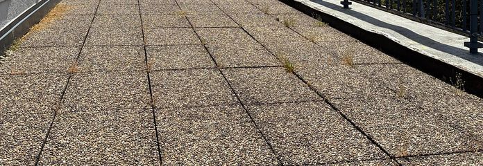 Dachterrasse Blick ins Grüne