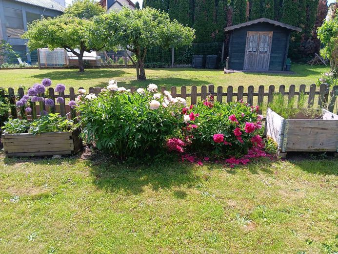 5 Zimmer Erdgeschoss-Wohnung mit Garten und separaten Eingang im OT Alzenau – Garten