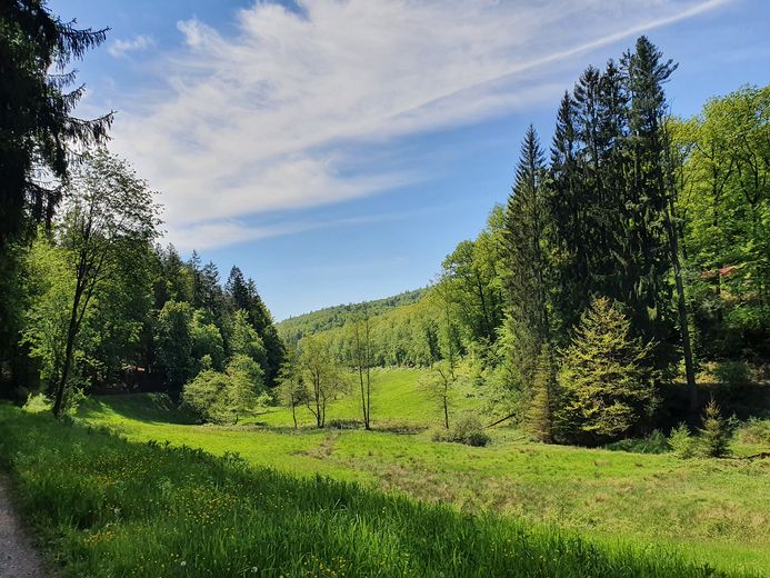 Moderne 92m² Dachwohnung mit Mainblick – sofort bezugsfertig & ruhig gelegen – Natur pur!