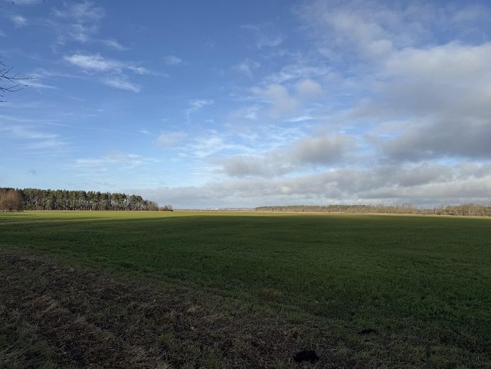 unmittelbare Umgebung 