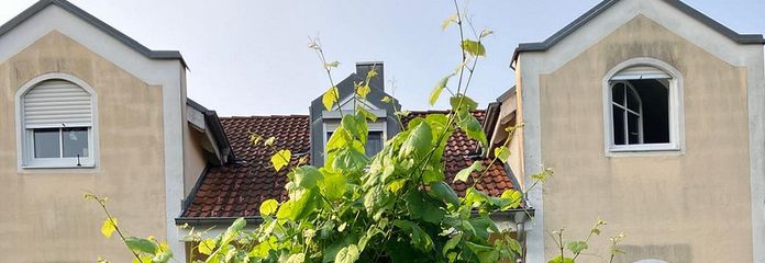 Ready to move in - familienfreundliches  Reihenmittelhaus mit angelegtem Garten, modernisiert