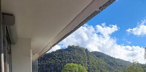 Blick in den Wald und Burgberg