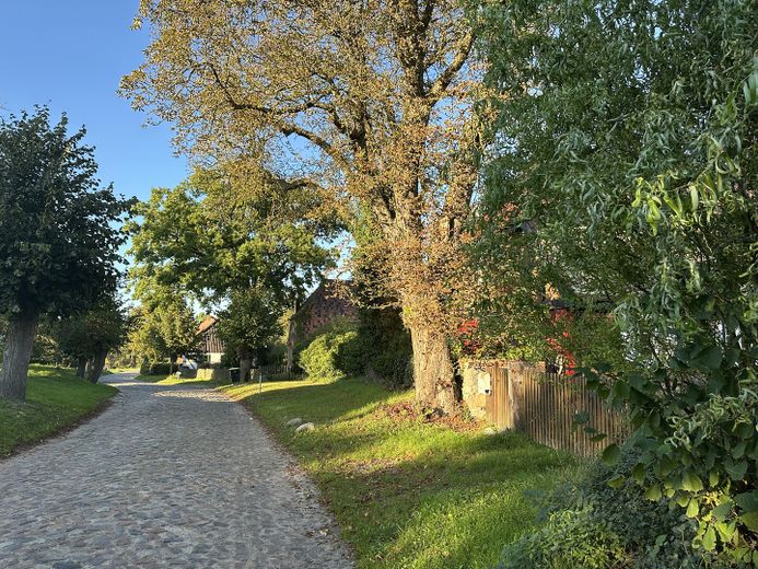 Historisches Landhaus in Mecklenburg-Vorpommern - ruhig gelegen, stündlich per Bahn erreichbar – Alte Dorfstraße