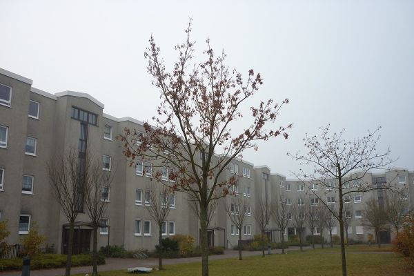 Ohne Provision: Verk. Wohnung 2 Zi. Kü, Bad, PKW-Stellplatz