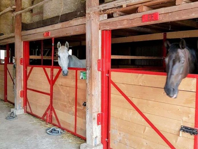 Pferdeanwesen mit zwei Wohneinheiten in Wahmbeck im Landkreis Nordheim – Foto 1