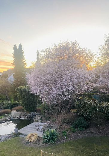 Blick in den Garten OG