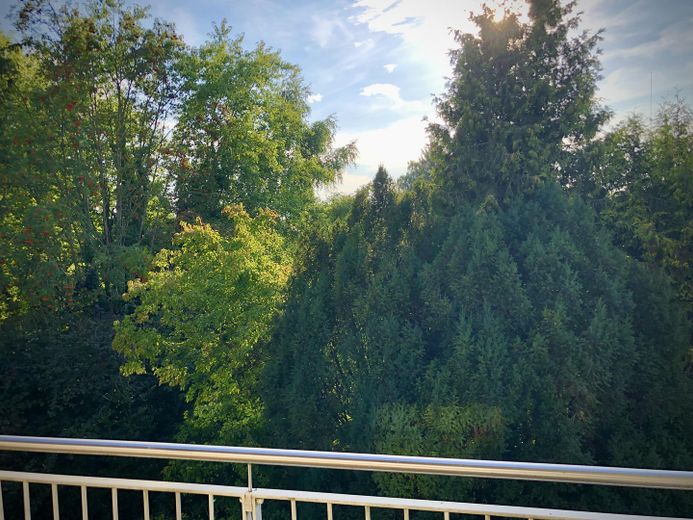 *** 3 Zimmer Wohnung mit ruhiger Terrasse in Bogenhausen Denning 2.OG *** – Ruhige West-Terrasse